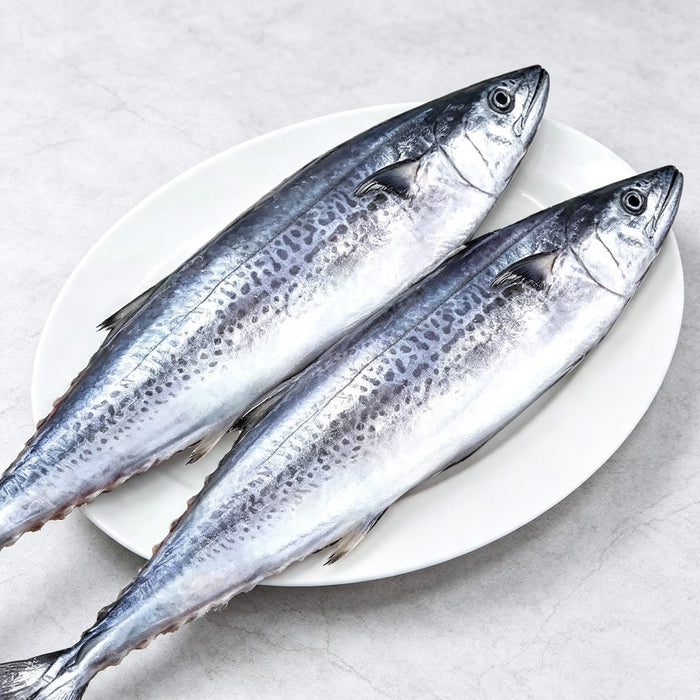 Two whole Spanish mackerel on a white plate