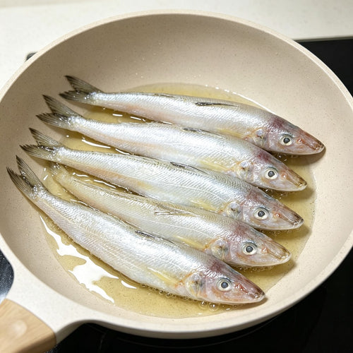 Raw sillago fish resting in a shallow pan