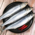Whole silver herring on a black plate
